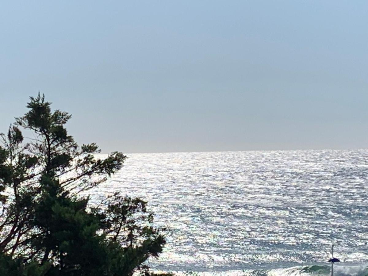 Magnifique Vue Mer Sausset-les-Pins Luaran gambar